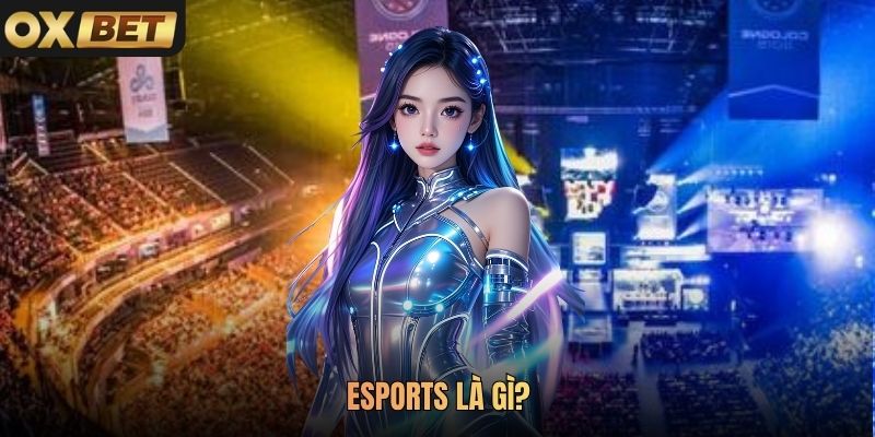 Esports Là Gì Mà Thu Hút hơn 1000 Lượt Chơi Tại Oxbet