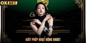 Tổng Hợp Thông Tin Chi Tiết Về Giấy Phép Hoạt Động Oxbet