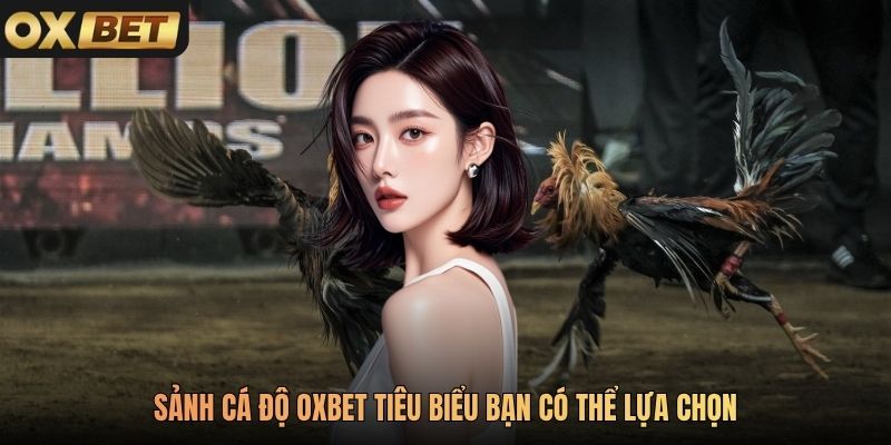 Sảnh cá độ Oxbet tiêu biểu bạn có thể lựa chọn